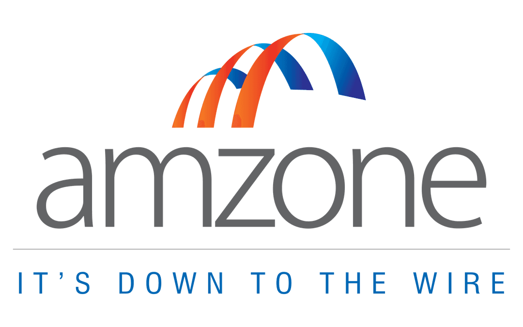 Amzone International LTD logo